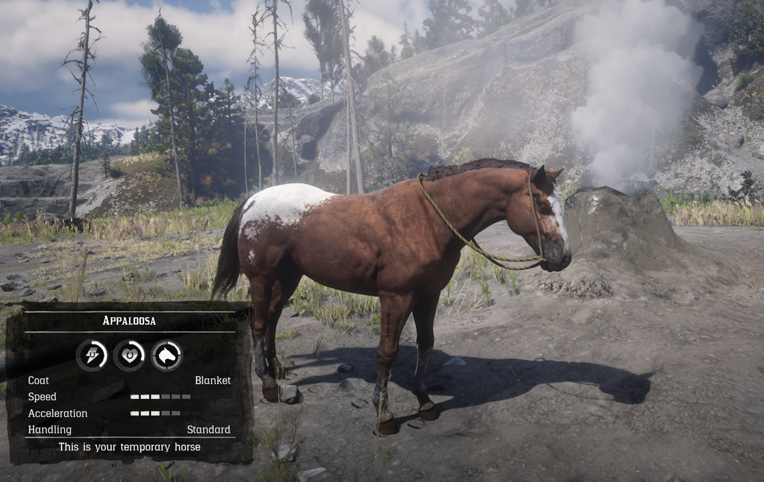 appaloosa red dead wiki fandom powered by wikia