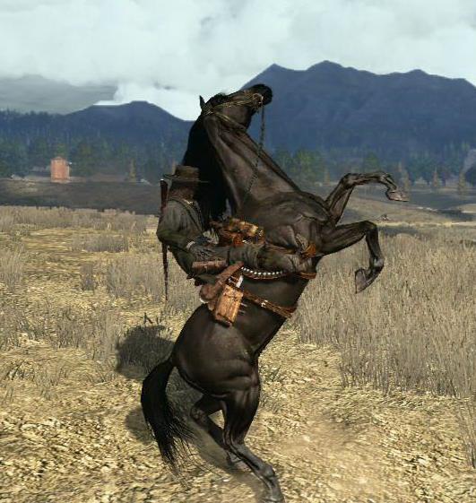 Rdr2 Bestes Pferd Rdr2 Bestes Pferd