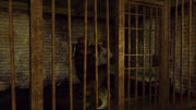 Rdr jailbird undead nightmare