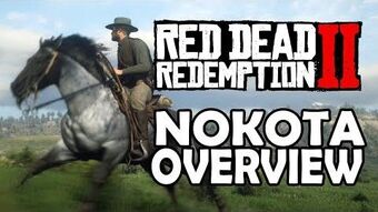 Nokota Red Dead Wiki Fandom