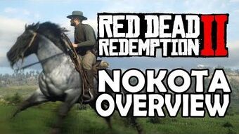 Red Dead Redemption 2 Blue Roan Nokota