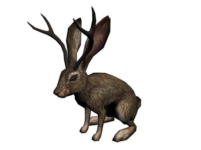 Jackalope Rabbit