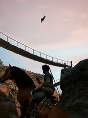 Rdr flying cows