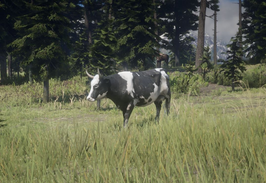Cow (RDR 2) Red Dead Wiki Fandom