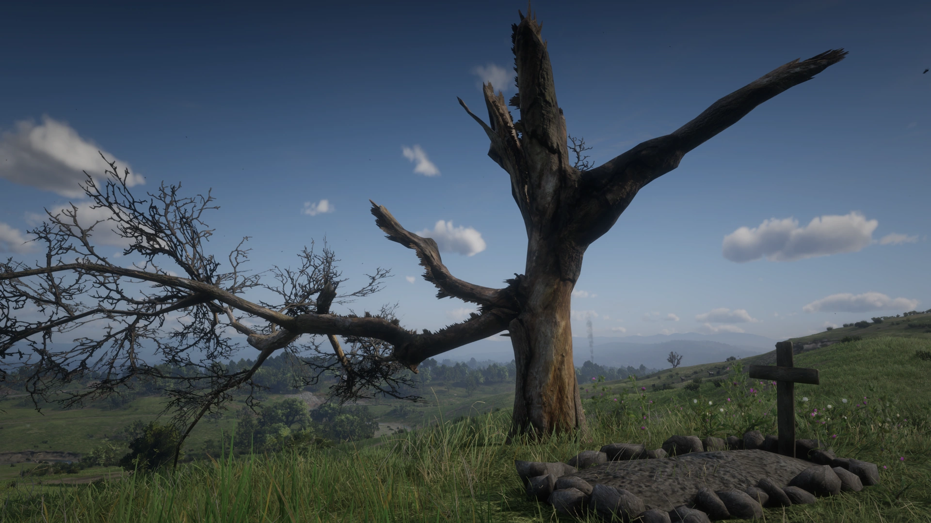 Warped Tree Red Dead Wiki Fandom