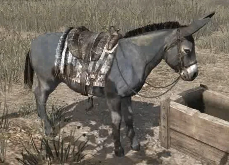 latest?cb=20100613005016