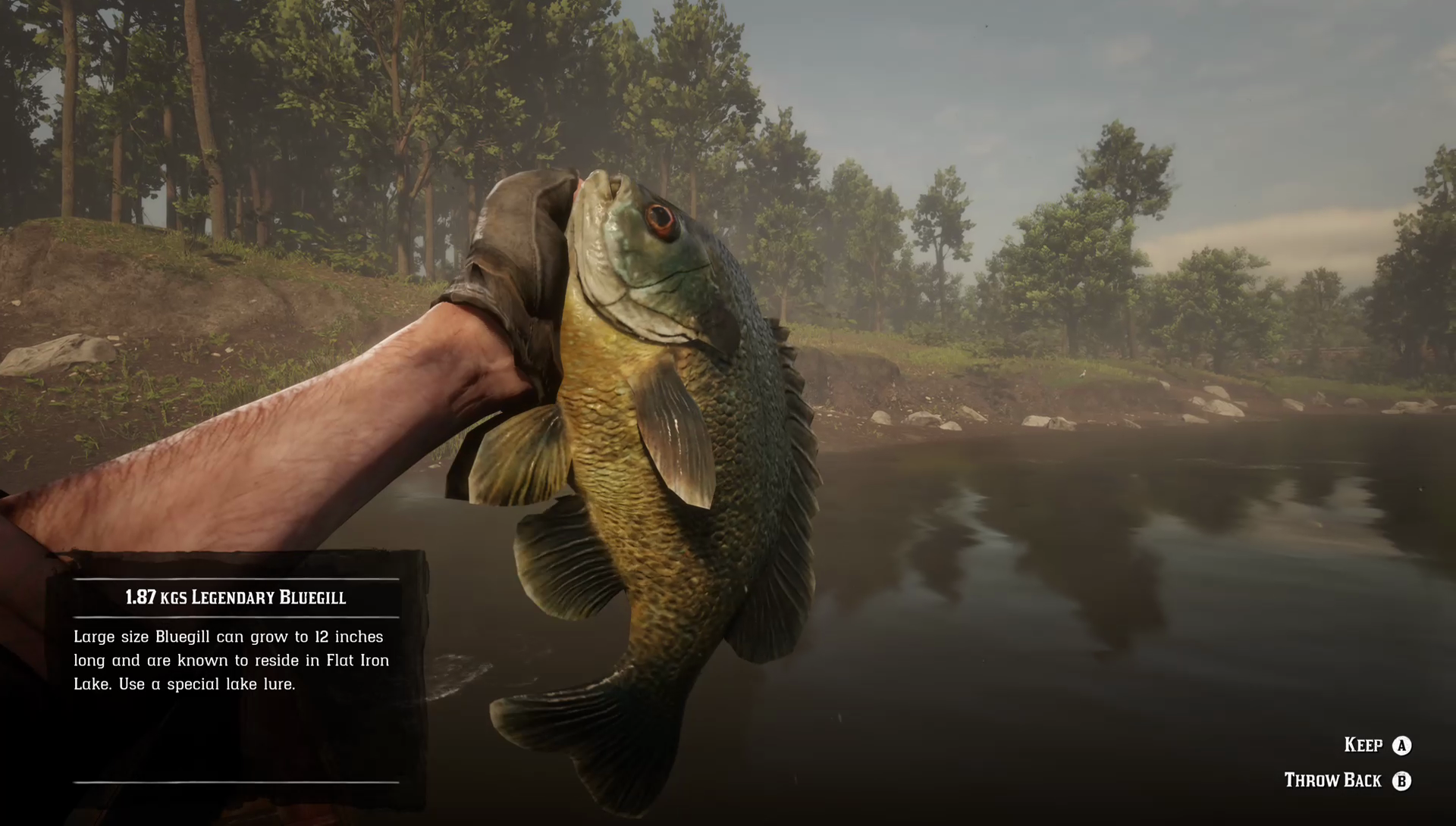 Red Dead Redemption 2 Bluegill