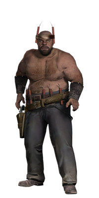 Pigjosh