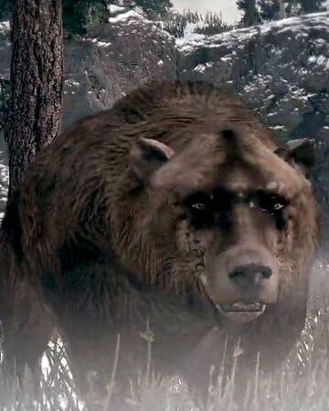 Grizzly Bear Red Dead Wiki Fandom