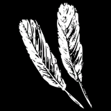 Plumas9