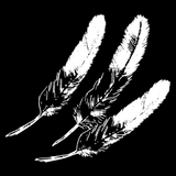 Plumas8