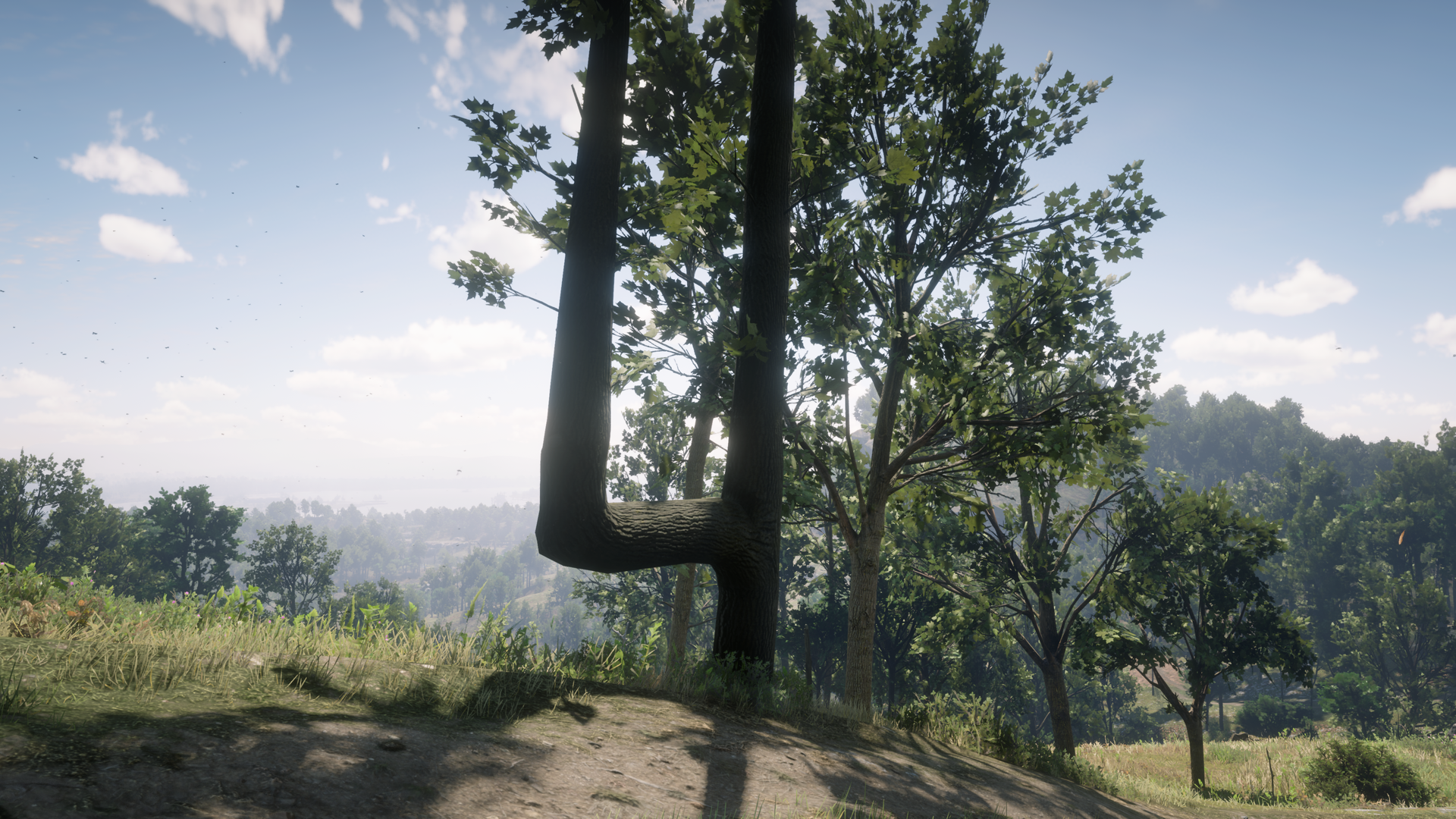 Trail Trees Iii Red Dead Wiki Fandom Powered By Wikia