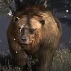 Rdr brumas ayı