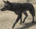 Pielobo