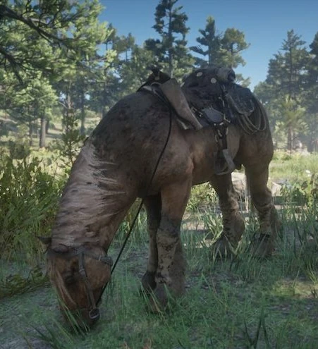 latest?cb=20181231003430