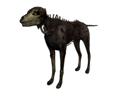 Coyote zombi