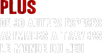 Animaux02