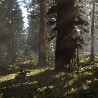 West Elizabeth | Red Dead Wiki | Fandom