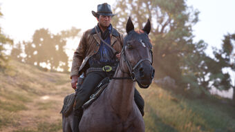 Blog Utilisateur Hypsoline Les Chevaux De Red Dead Redemption 2 Panser Pour Mieux Galoper Red Dead Wiki Fandom