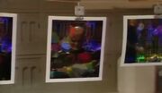Photo-Lab