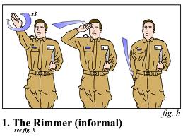 Salute