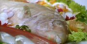 Mimian-bladder-fish