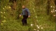 StrollonRimmerworld
