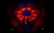 Starbug enlarged ducts