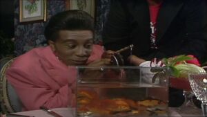 Fishycatmeal