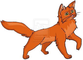 Firestar Reddy Wiki Fandom