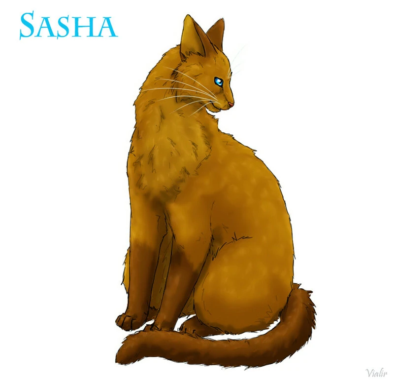 Sasha | Reddy Wiki | FANDOM powered by Wikia