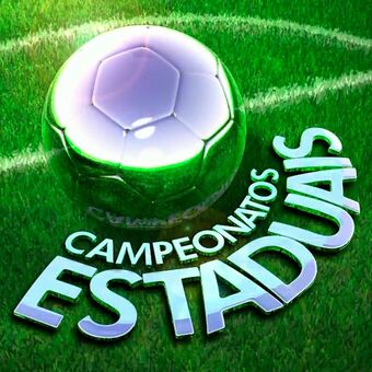 Category:Campeonatos Estaduais | Rede Globo Logopedia 2 Wiki | Fandom