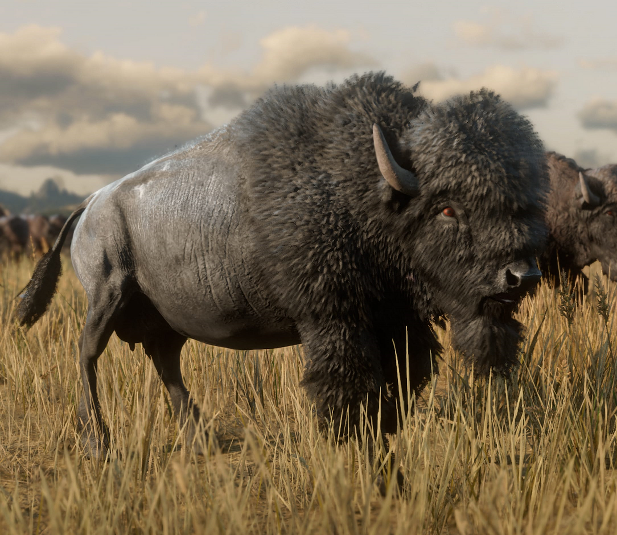Bisonte americano | Red Dead Wiki | Fandom