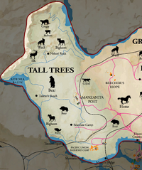 Tall Trees