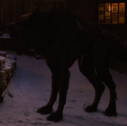 Werewolf
