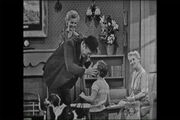 1953 happy