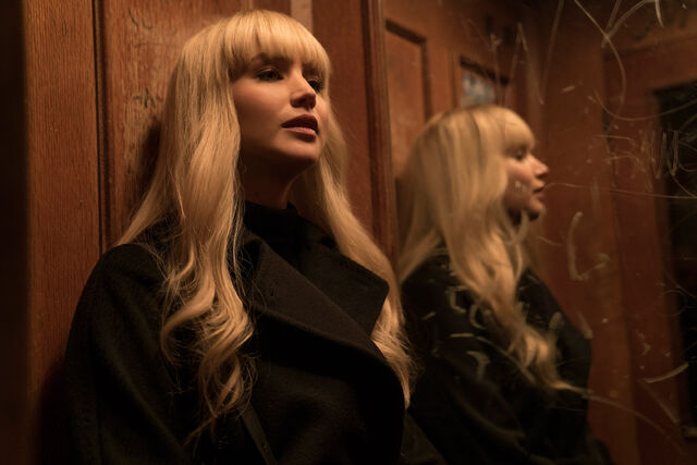 File:Red-sparrow-1.jpg