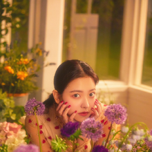 Dear Diary Gallery Red Velvet Wiki Fandom