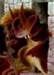 Gael