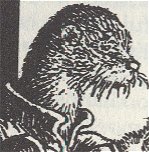 Skipper