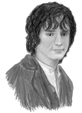 Frodo by Llamao