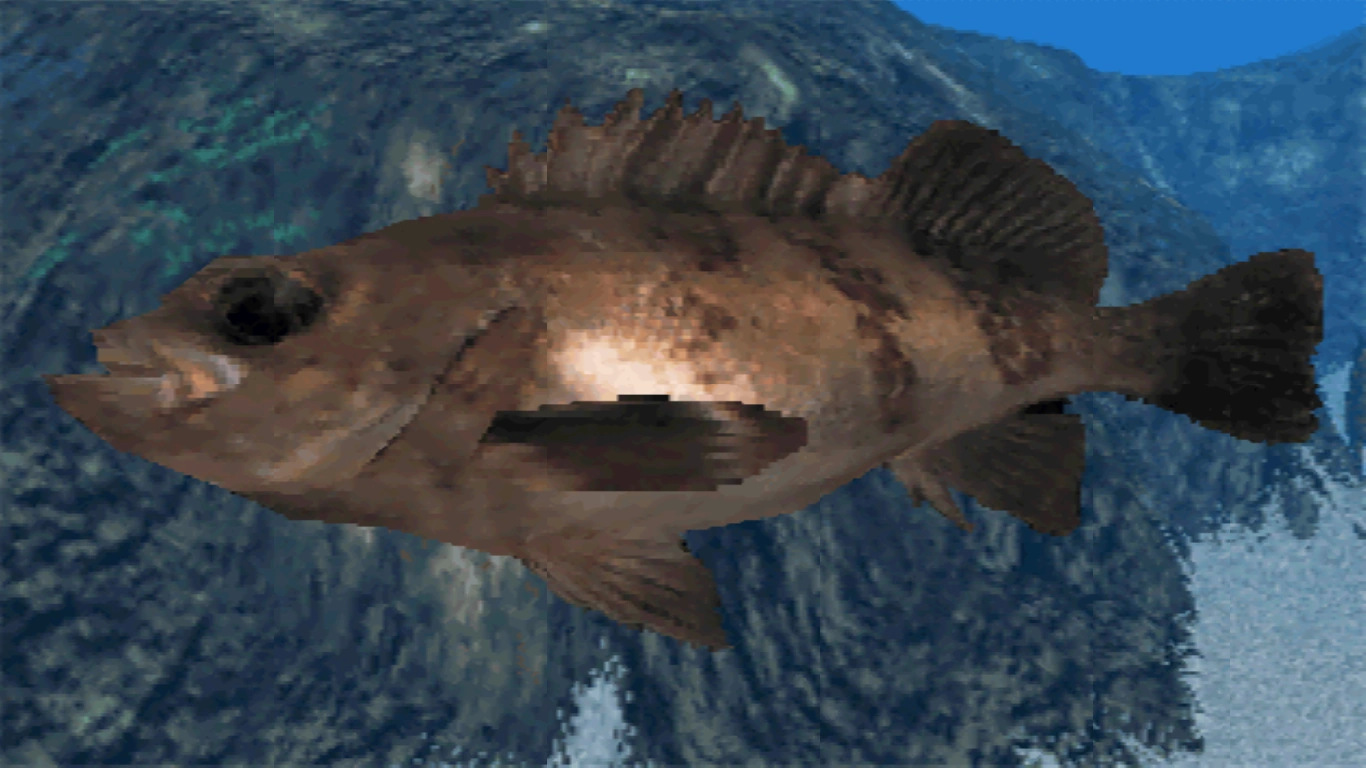 Darkbanded Rockfish Reel Fishing Wiki Fandom