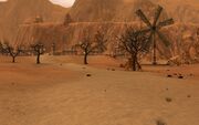 Essadi valley1