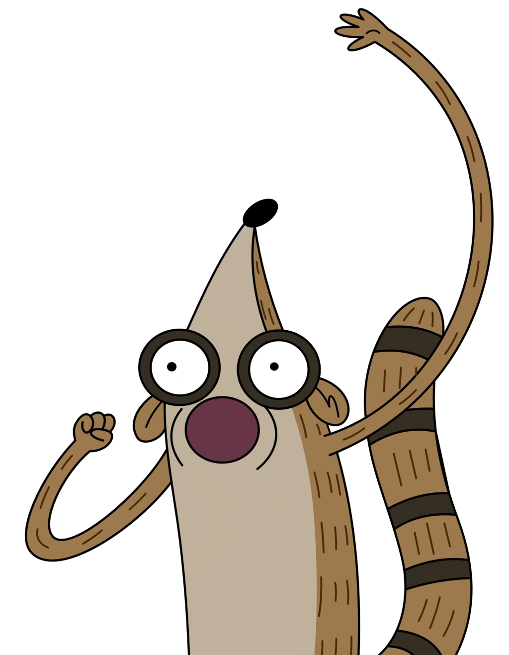 Imagen Rigby Vector 3 png Un Show Más Wiki FANDOM powered by Wikia