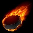 Dico de hockey