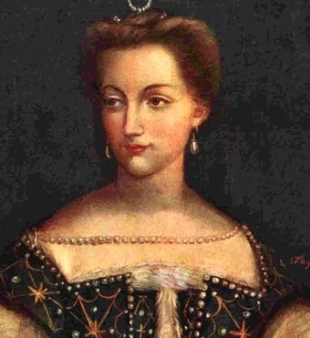 History S Diane De Poitiers Reign Wiki Fandom