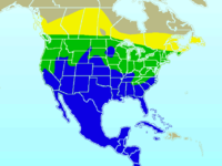 Cedar Waxwing-rangemap