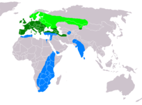 204px-Buteo buteo distribution map