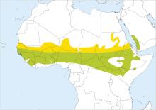 Abyssinian roller coracias abyssinicus distribution map 0