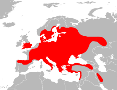 Mapa Apodemus flavicollis